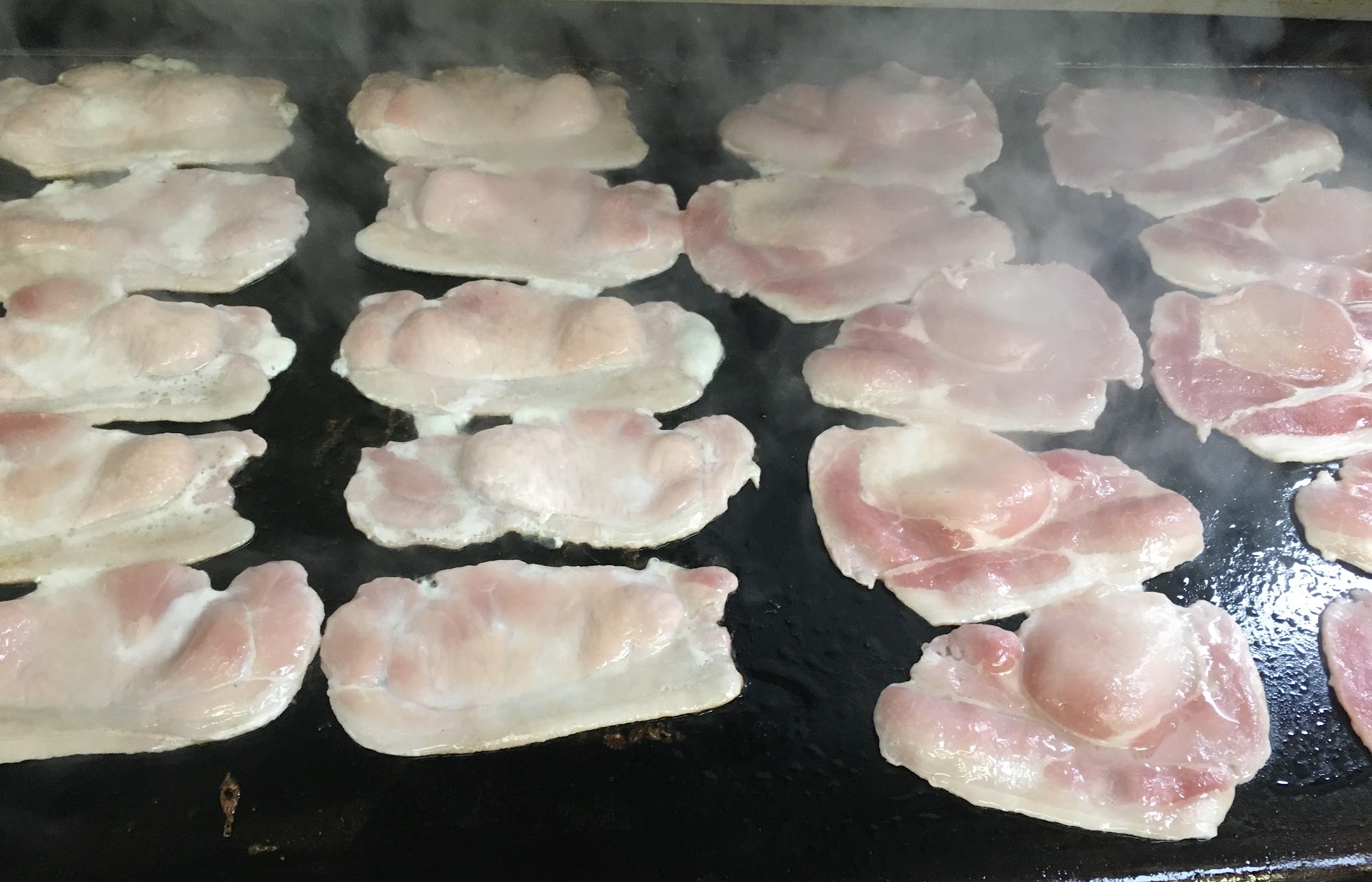 Pammies snack bar A134, King's Lynn