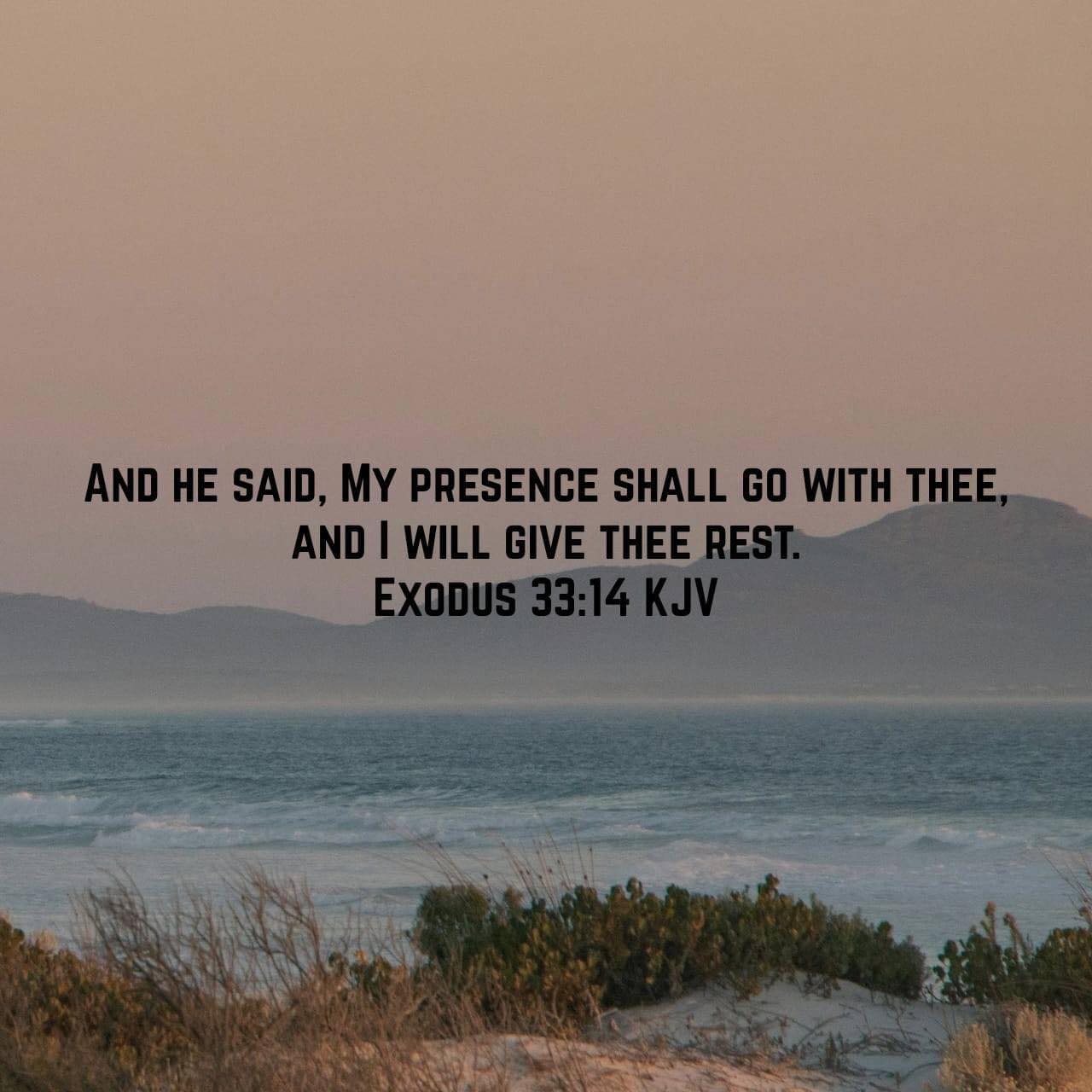 The Salvation Army