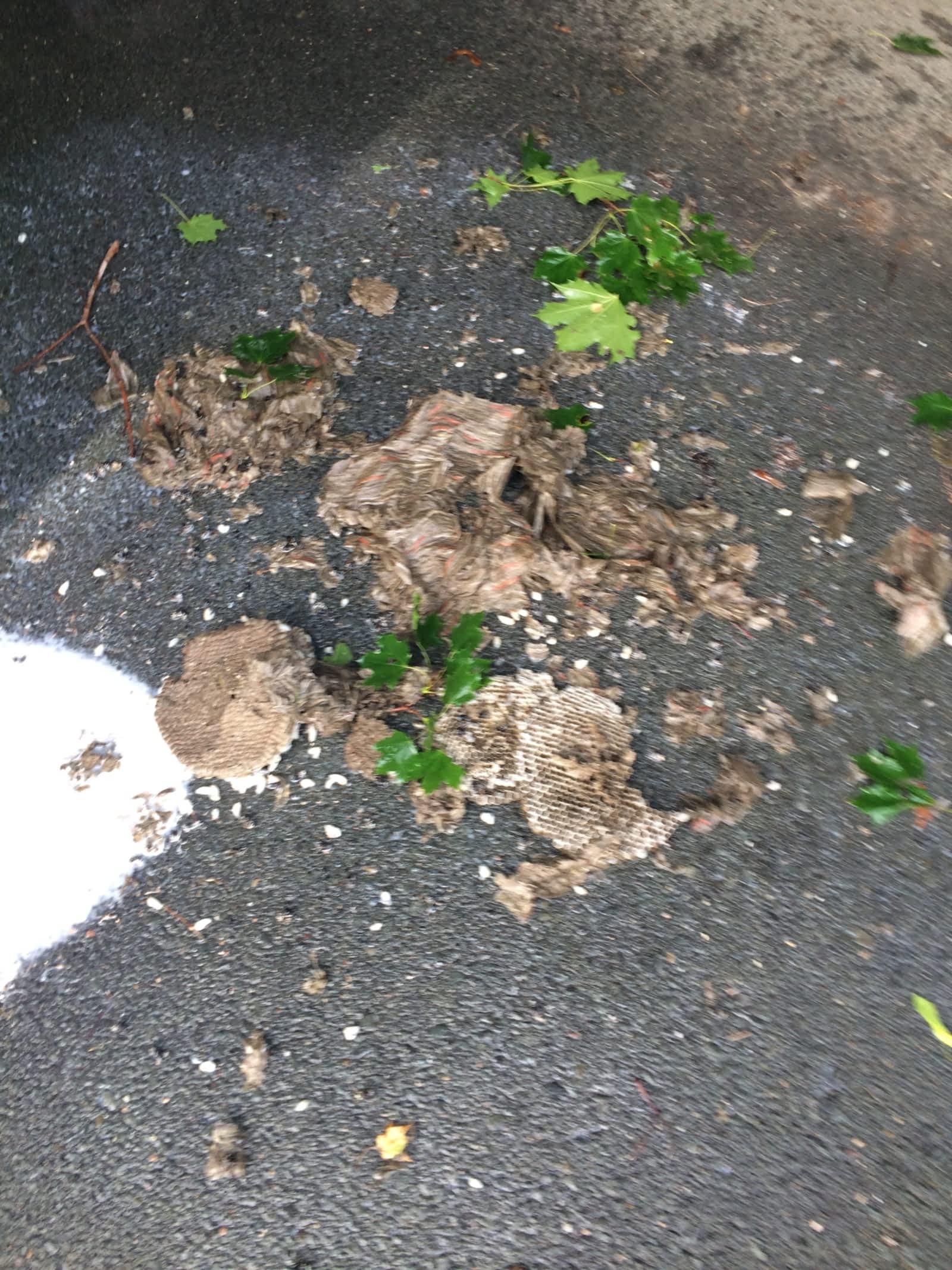 Photo credit: yellowpages.ca