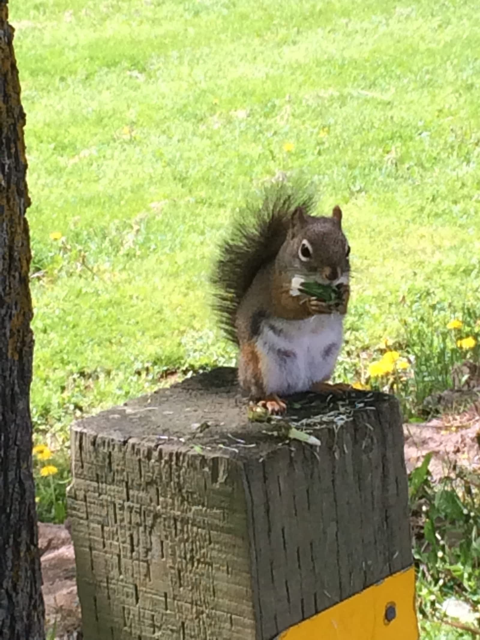 Photo credit: yellowpages.ca