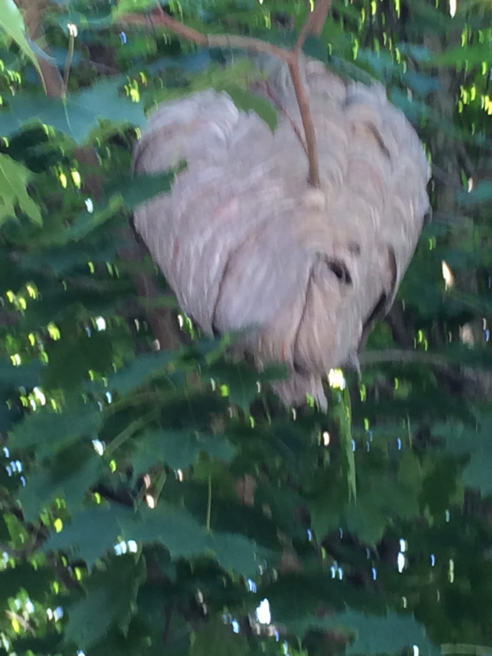 Photo credit: yellowpages.ca