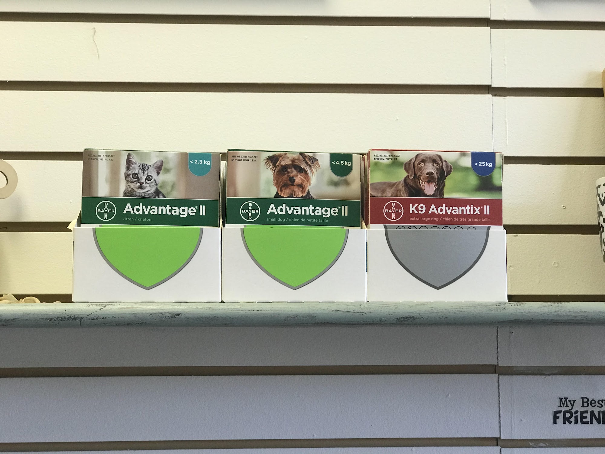 The Dirty Dog Shop Truro