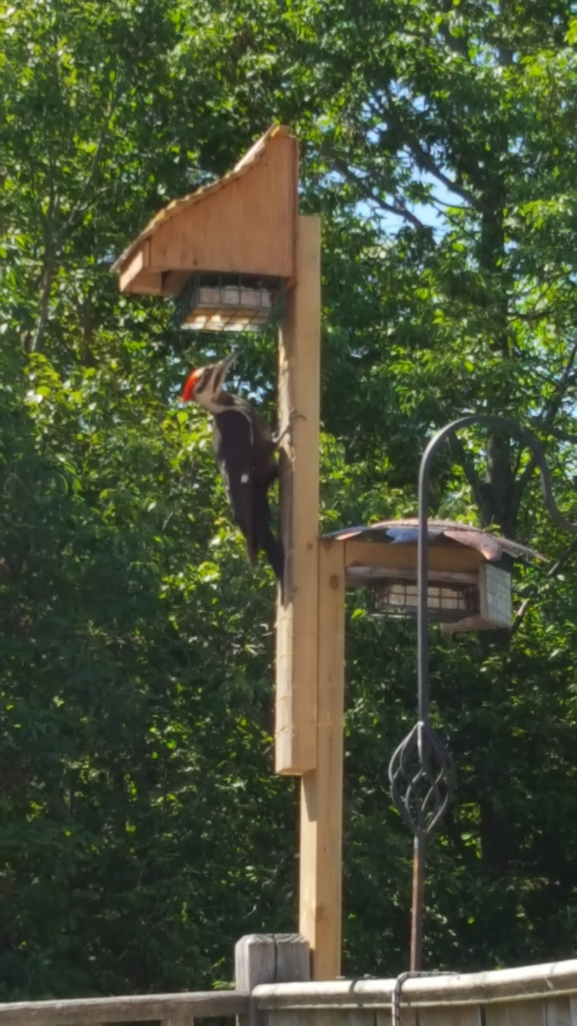 Ecowater Nova Scotia Waverley