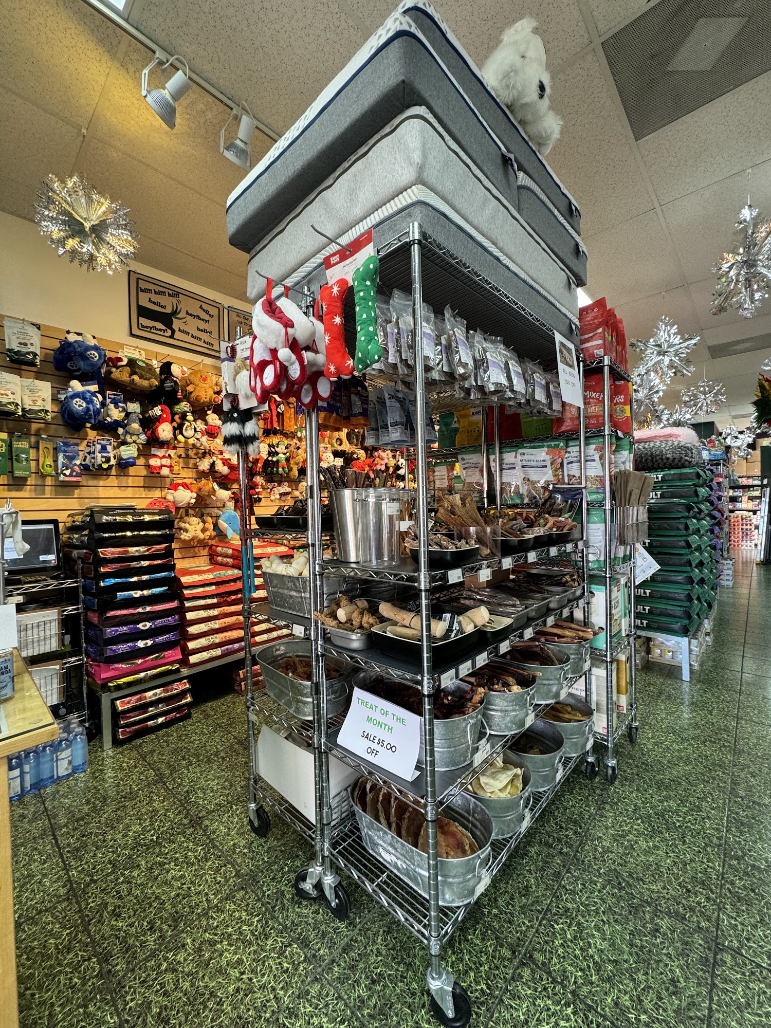 Healthy Tails LV Las Vegas