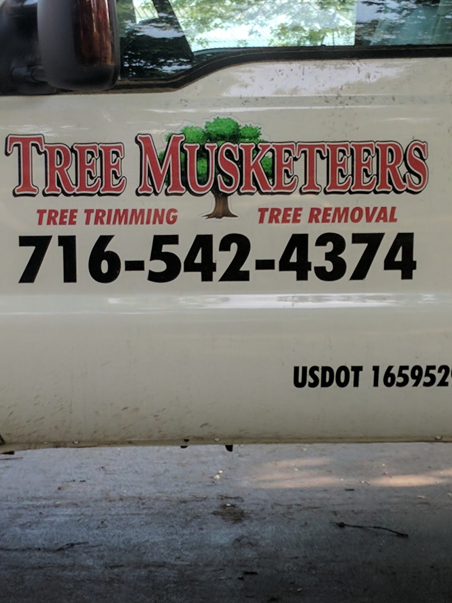 Tree Musketeers LLC 7729 Maple Rd, Akron New York 14001