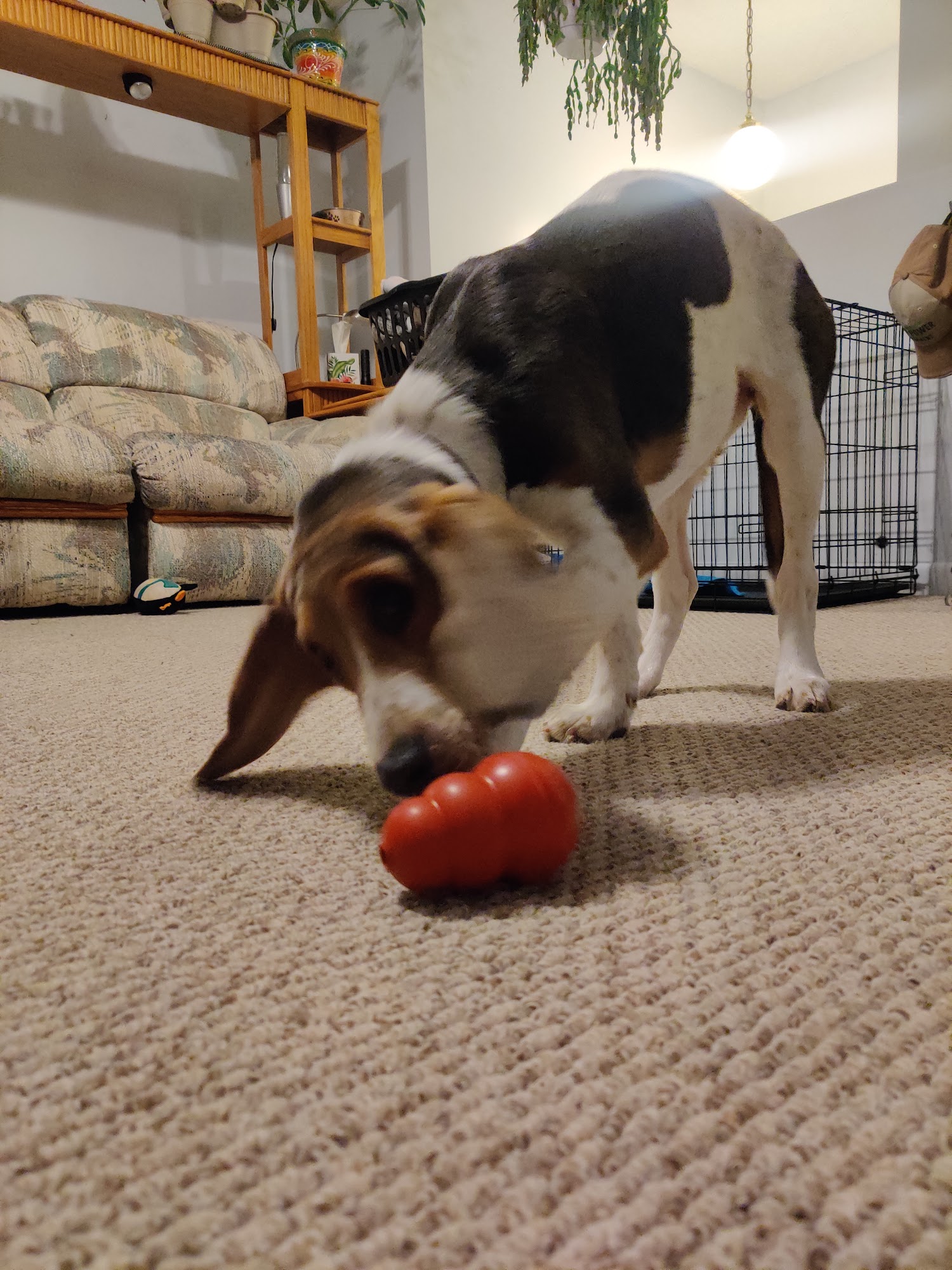 Avon Feed & Supply LLC Avon