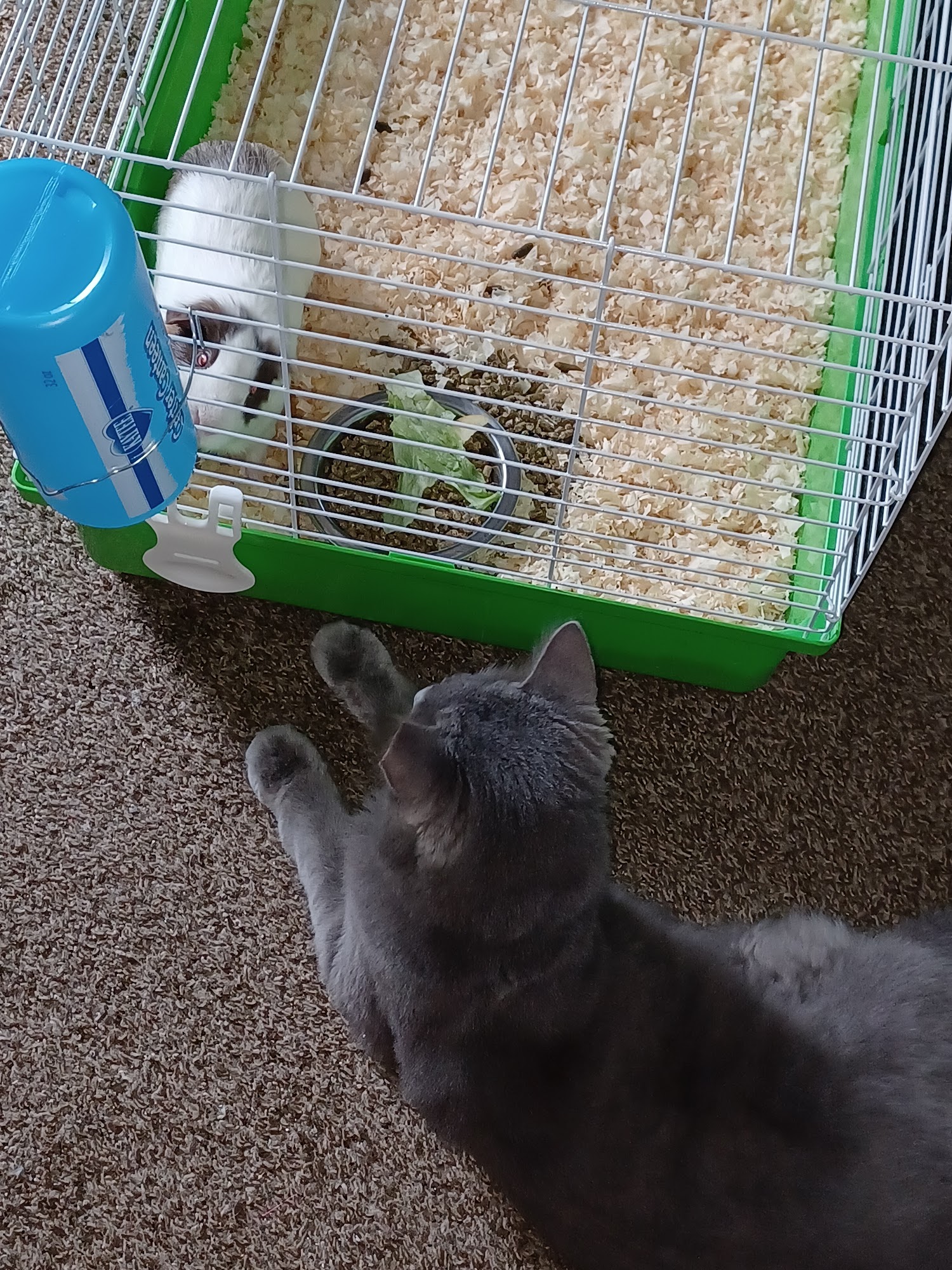 R J Pet & Kennel Supplies Bath