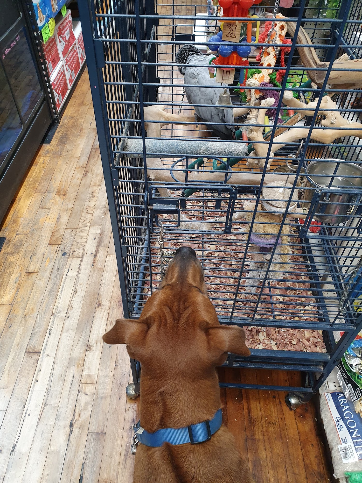 Crosby Pet Center Inc Bronx