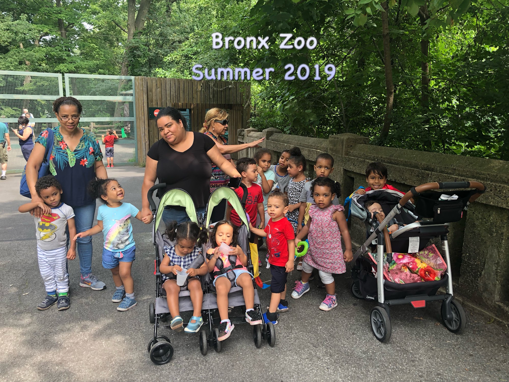 Little People Family Daycare Bronx