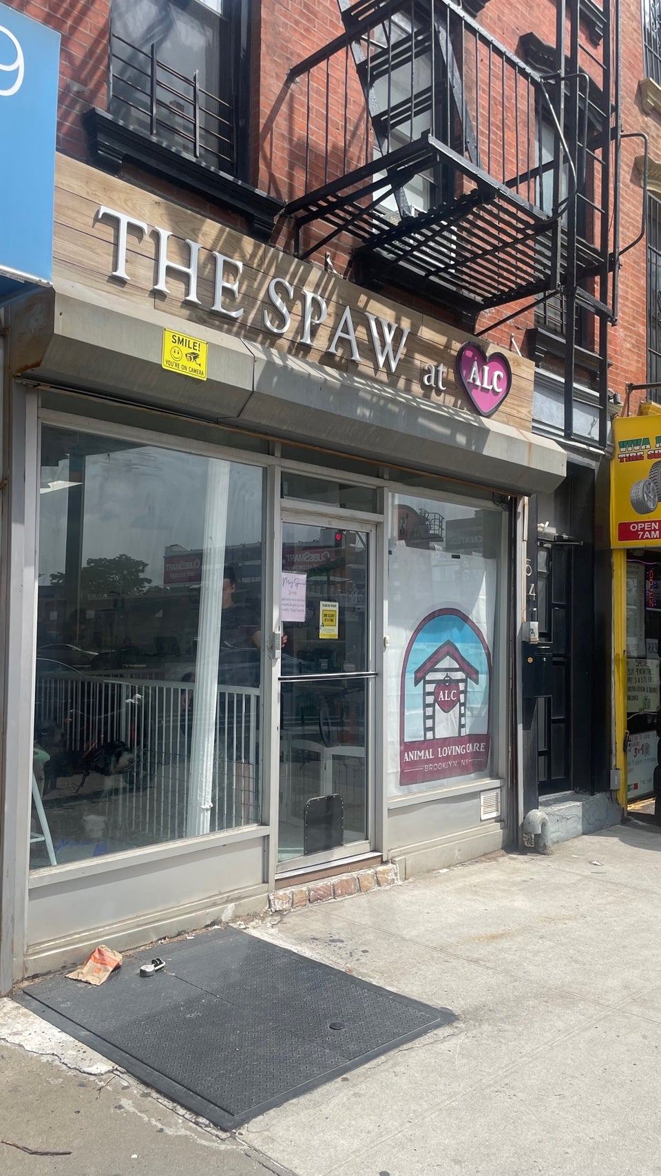 Animal Loving Care Brooklyn