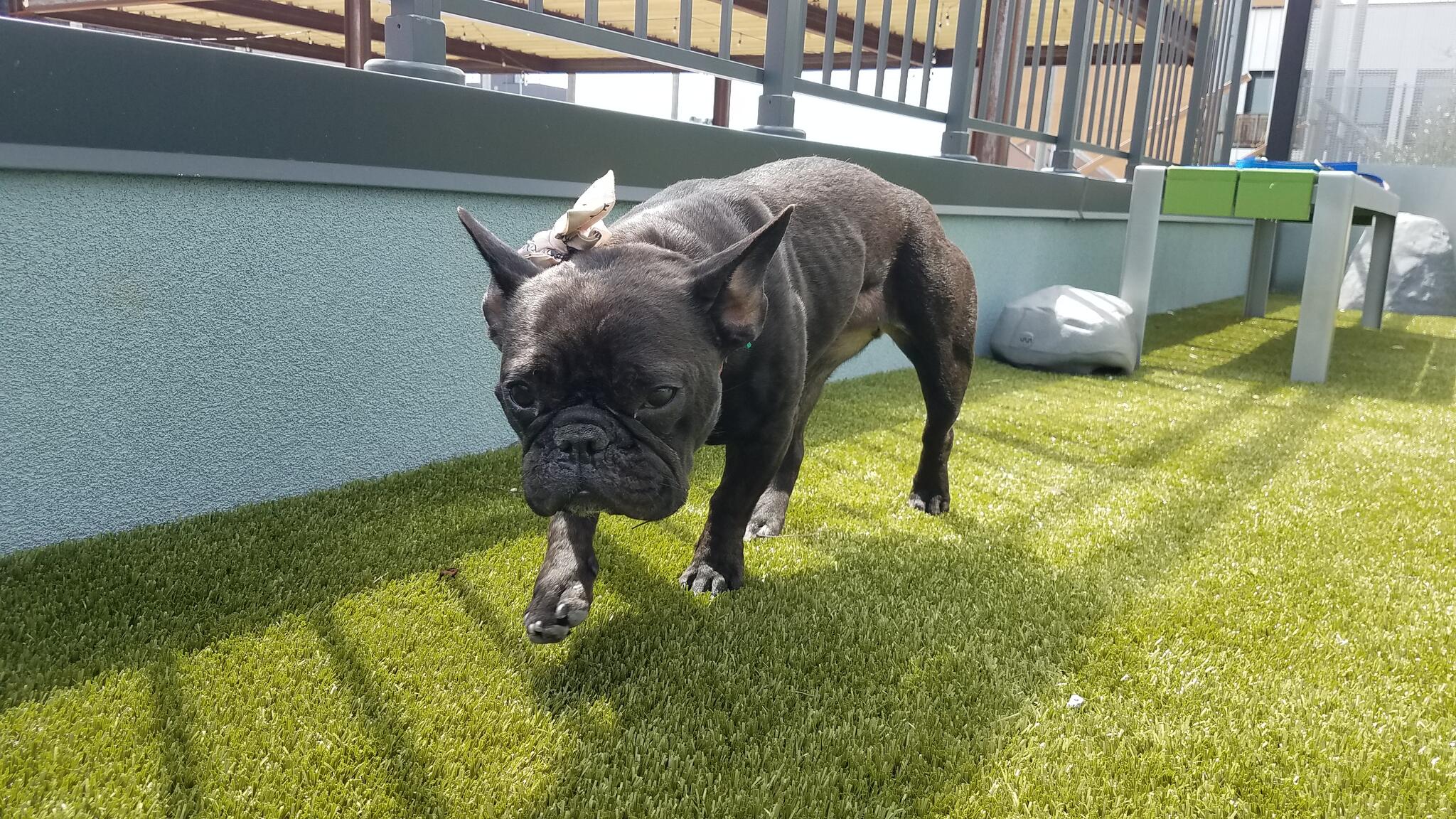 Photo credit: nextdoor