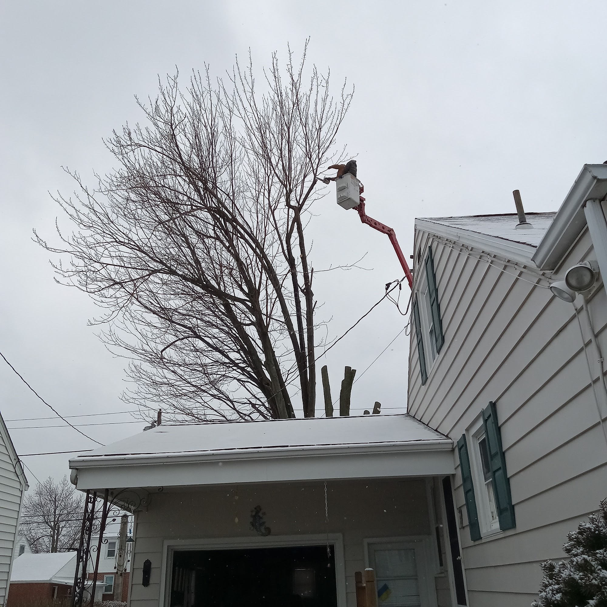 A&A's Tree Service 6115 Goodrich Rd, Clarence Center New York 14032