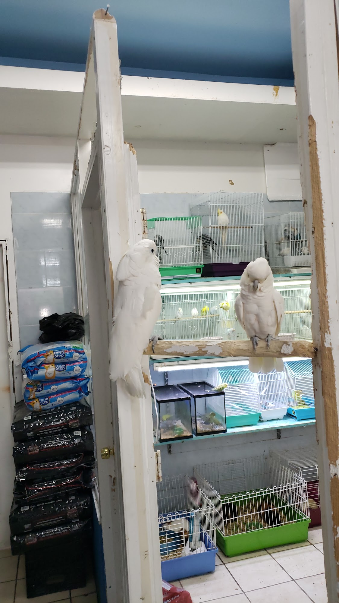 Tropical Pets Inc. Corona