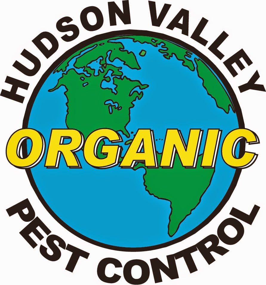 Hudson Valley Organic Pest Control East Greenbush New York 