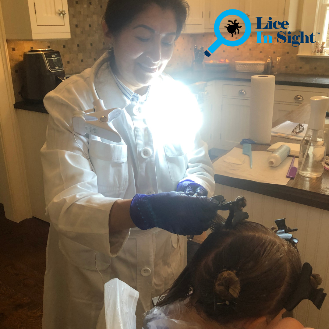 Lice In Sight, INC. - Lice Treatment and Lice Removal Service 319 W 29th St Suite 2, Manhattan New York 10001