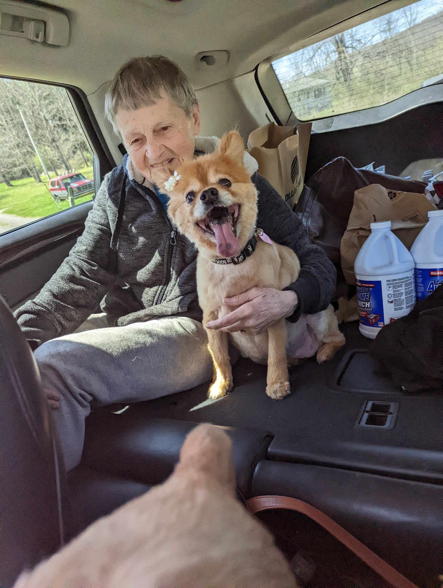 CREEKSIDE DOG GROOMING AND CAT NAP Olean