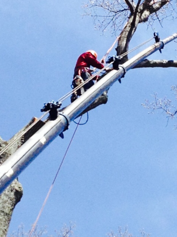 Nick's Tree Services Inc 530 NY-164, Patterson New York 12563