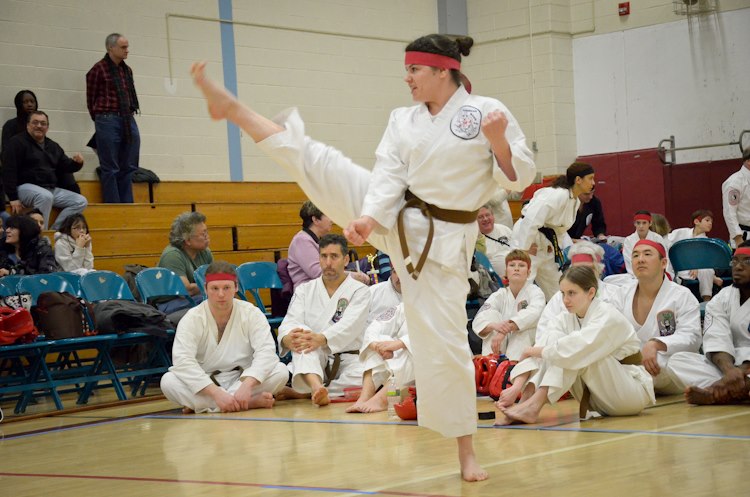 Traditional Okinawan Karate of Pleasant Valley 17 North Ave, Pleasant Valley New York 12569