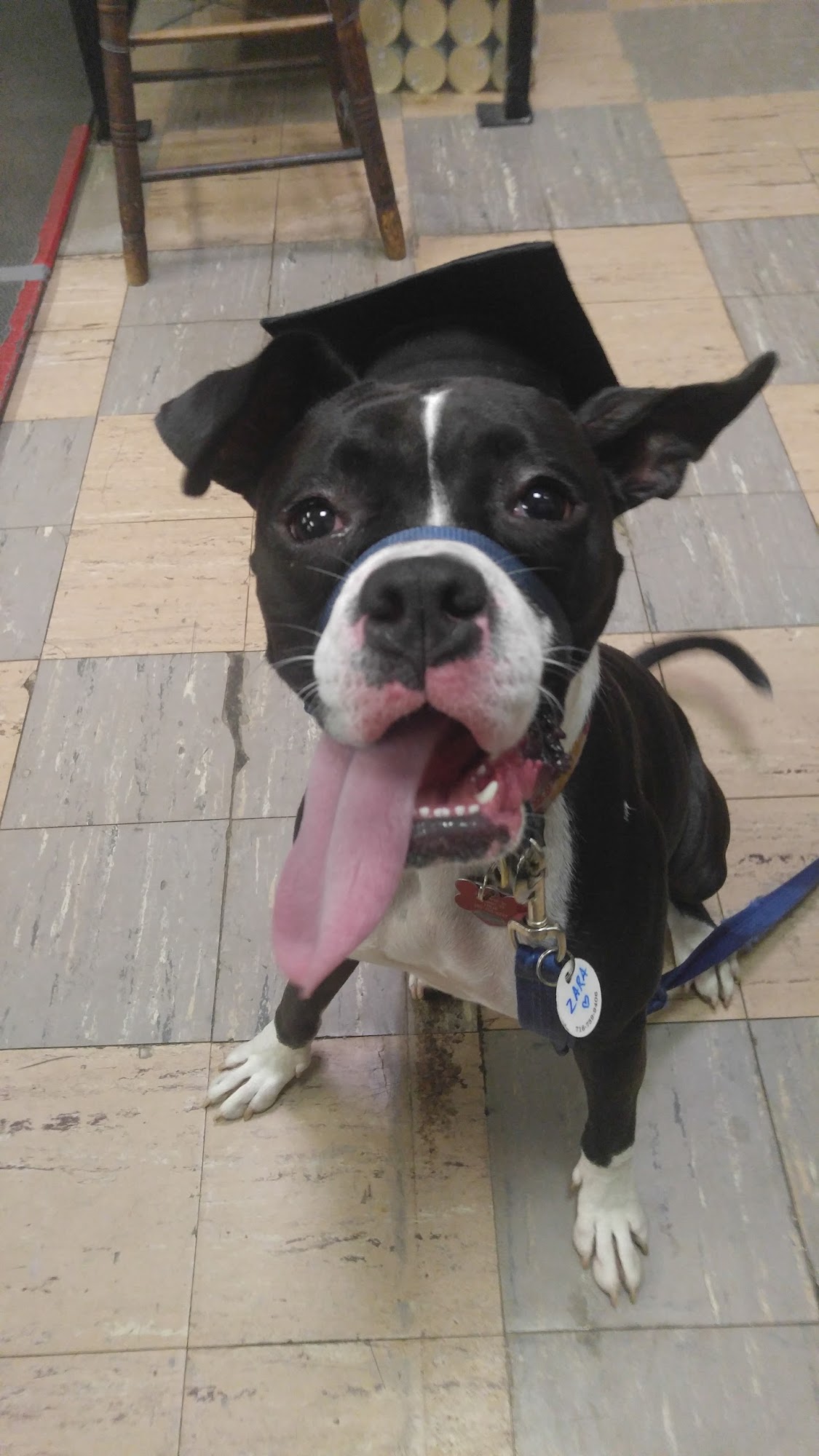 Natural Pet Foods Co., Inc. Rochester