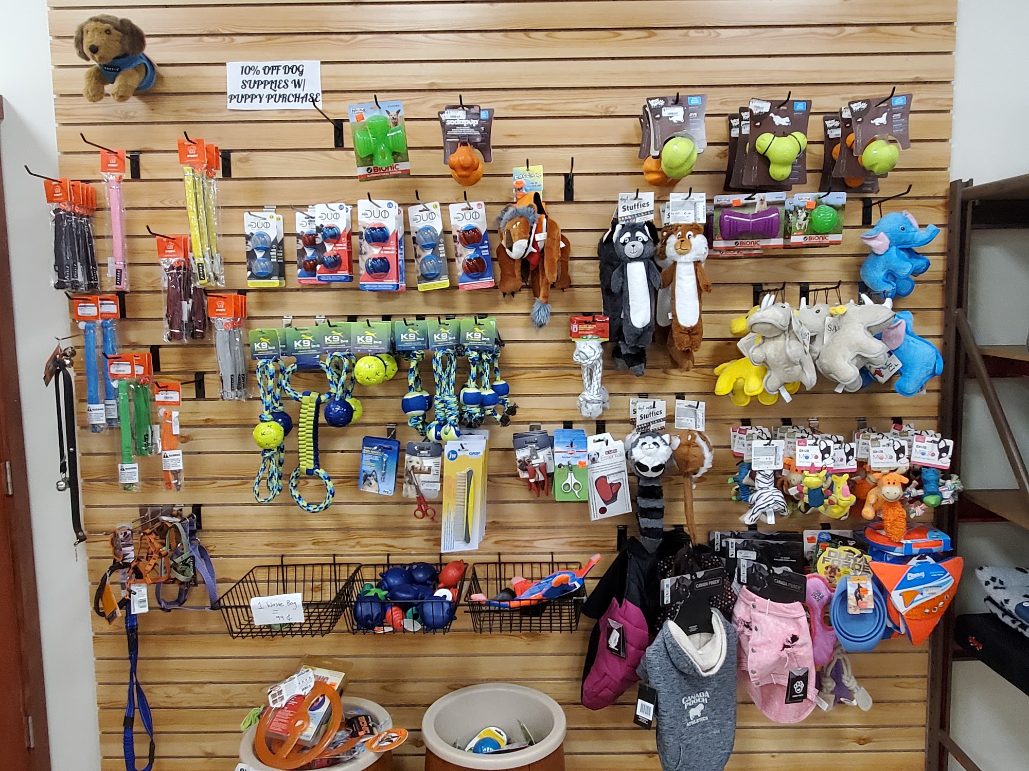 Allie's Pet Corner Rochester