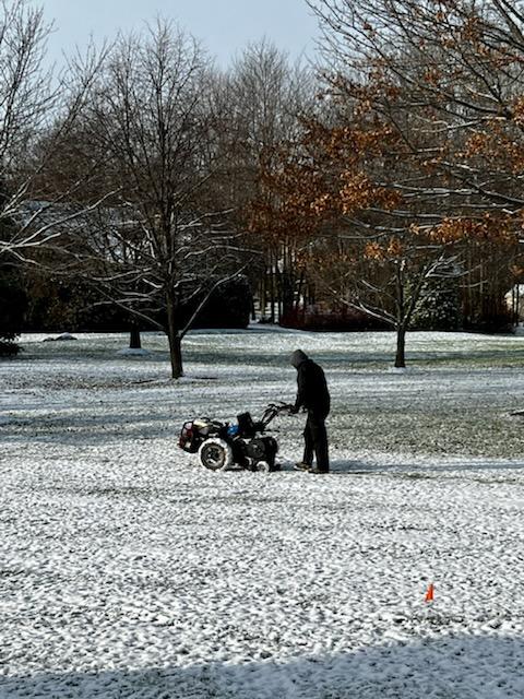 Dog Yard 1 877 Dog Yard Hidden Rochester