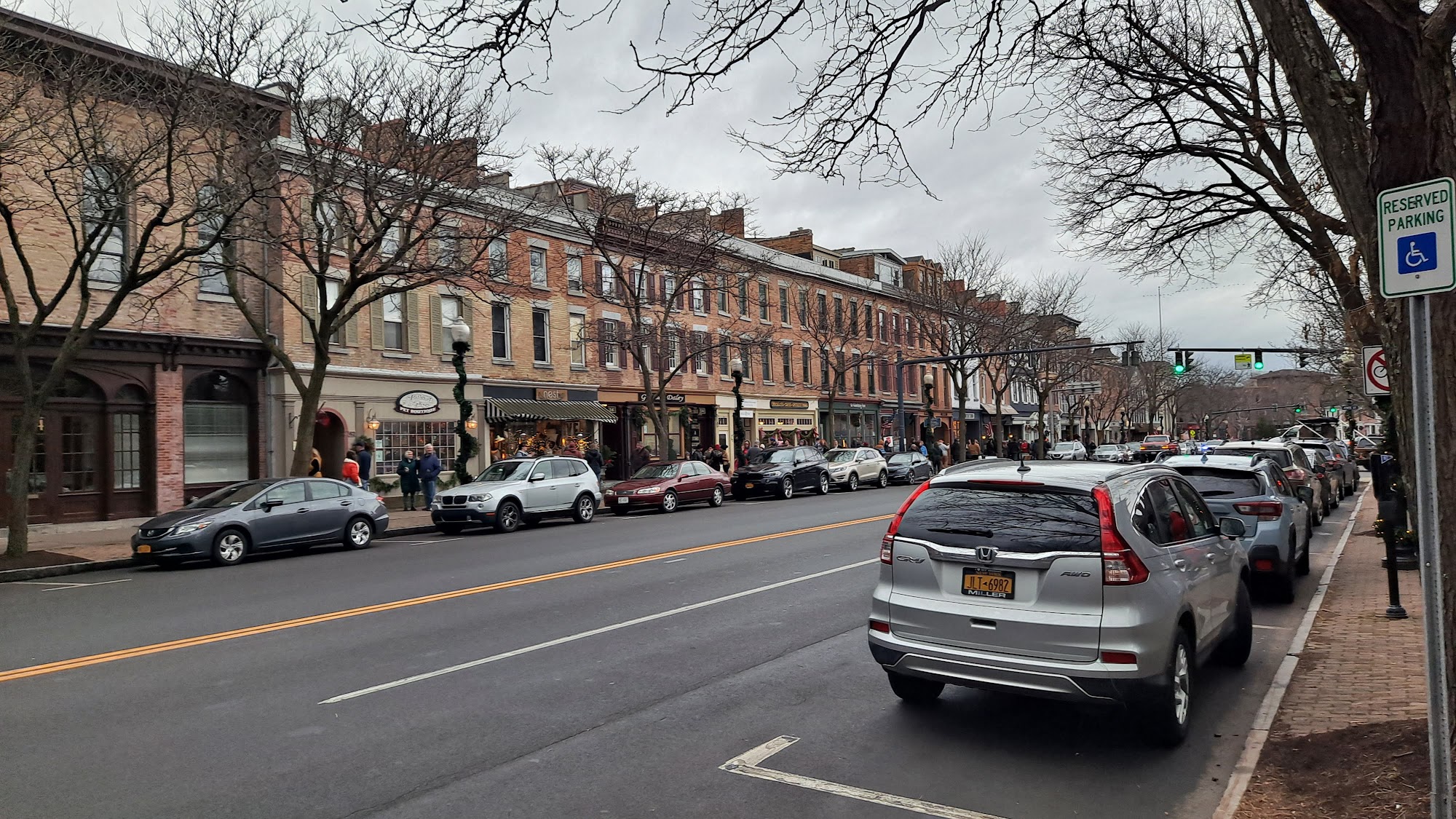 Aristocats & Dogs Skaneateles