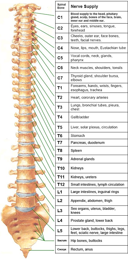 GenWell Acupuncture | Tara G. Almquist, M.S., L.Ac. 380 US-202, Somers New York 10589