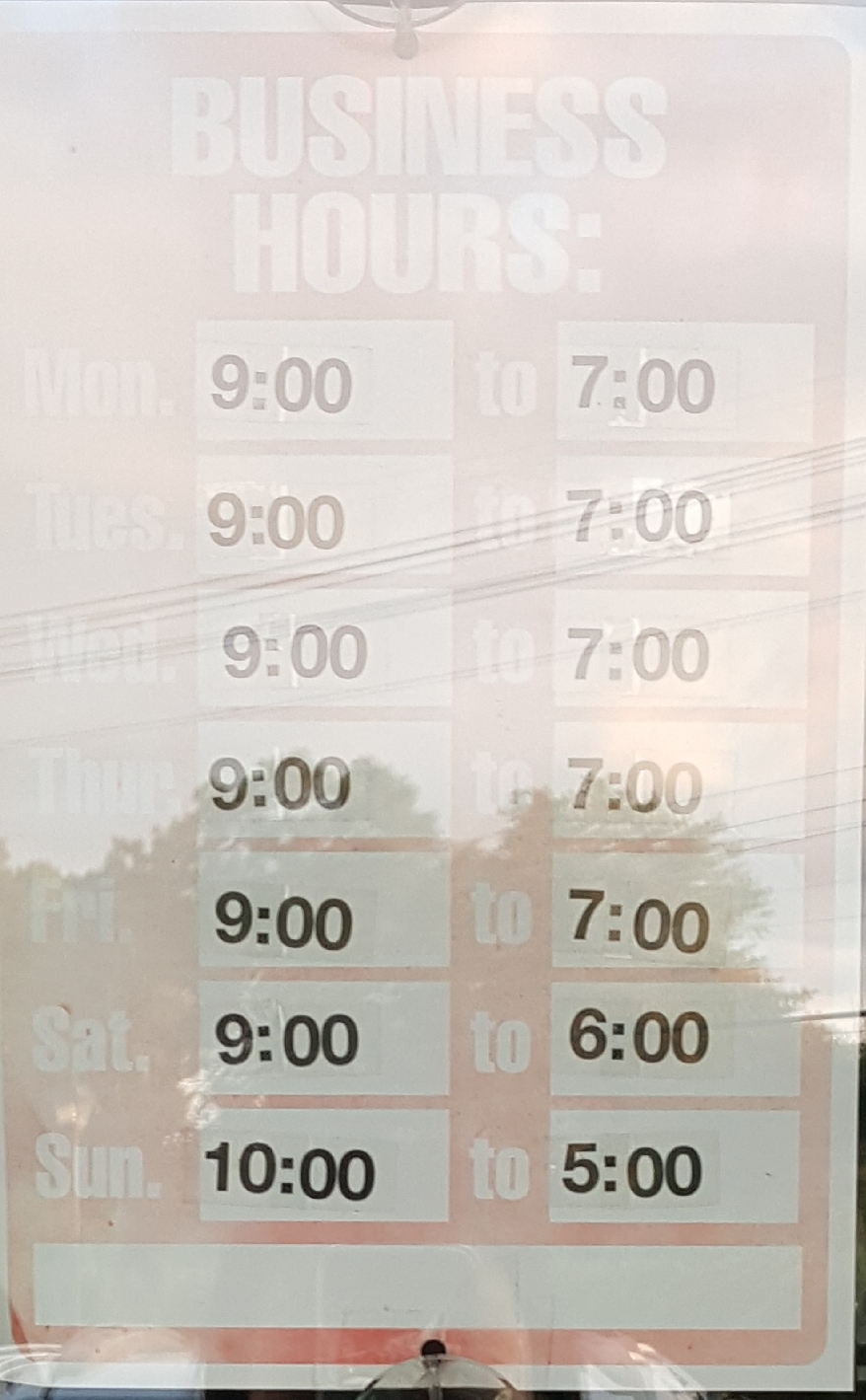 Pet Station Inc West Islip