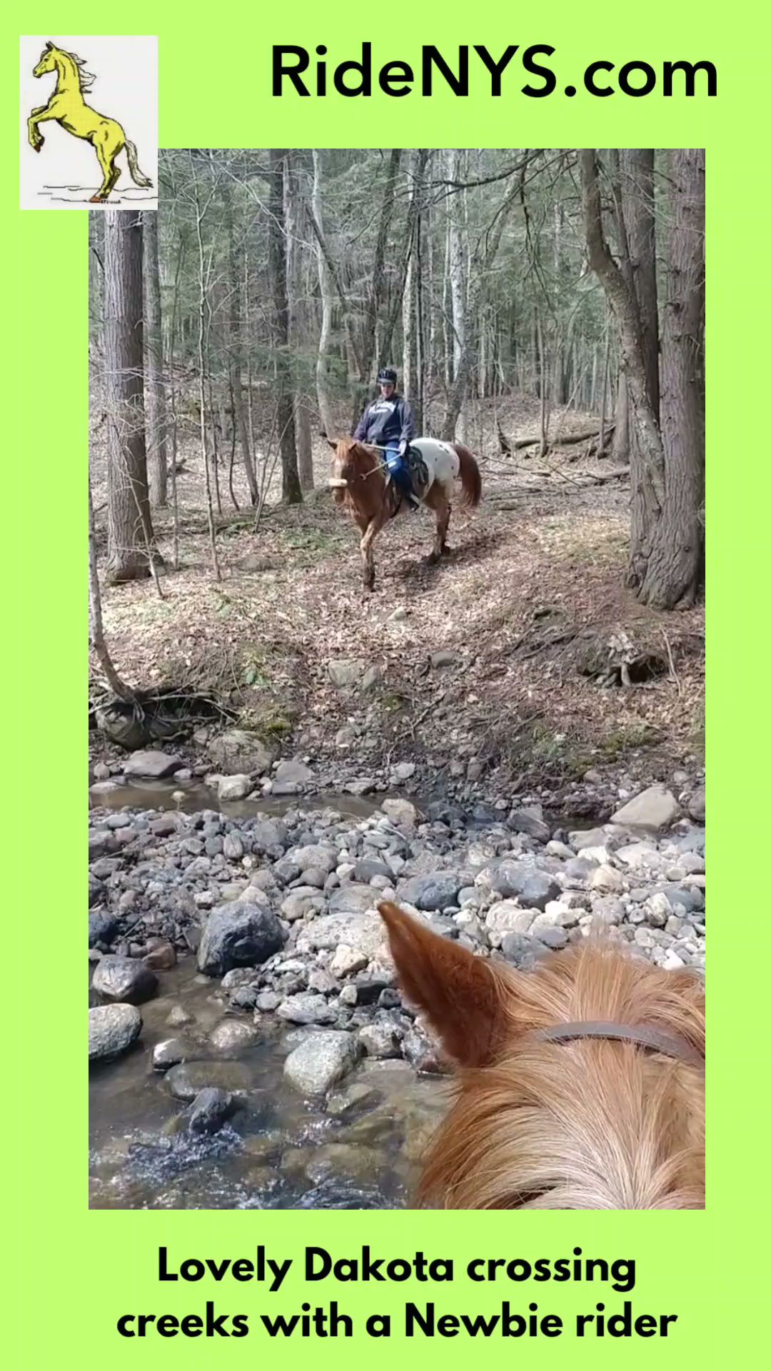 Adventure Horse Riding in NYS 8585 Buck Hill Rd, Westernville New York 13486