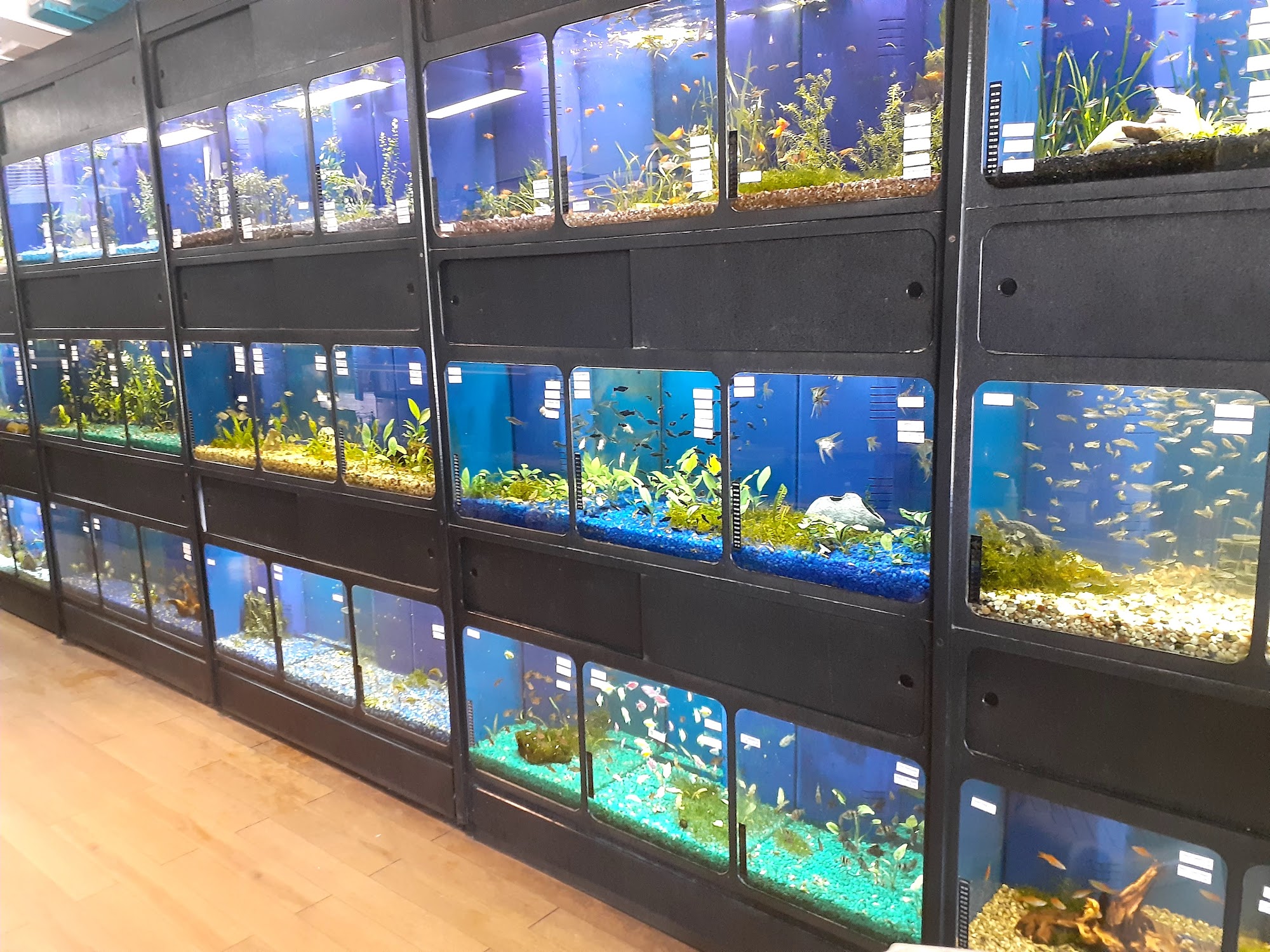 Fish N' Stuff Athens