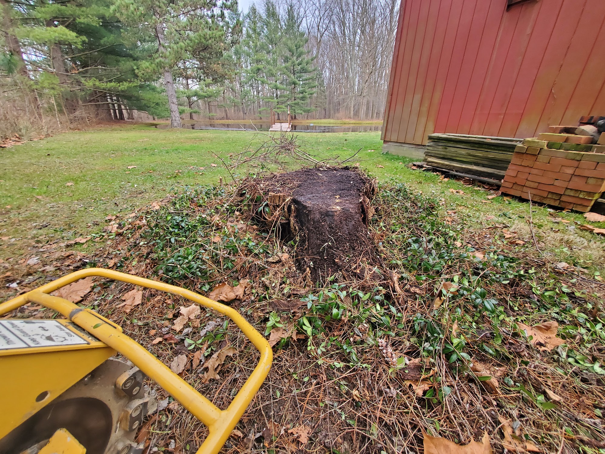 Eagle Valley Stump Removal & Land Care