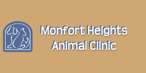 Monfort Heights Animal Clinic