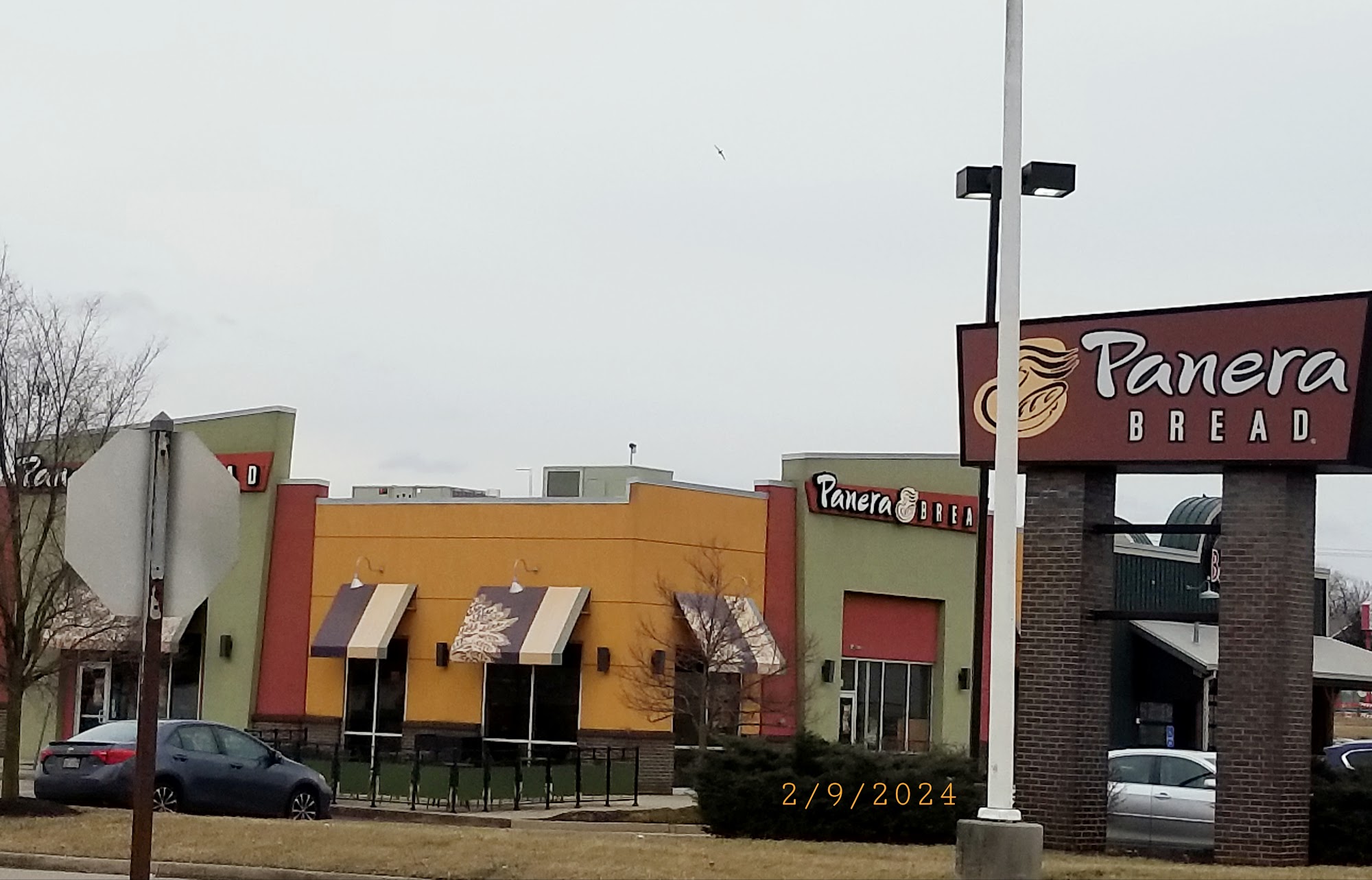 Panera Bread