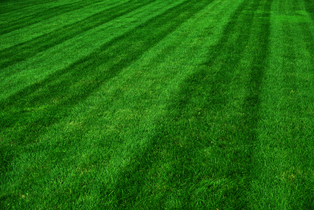 Realescapes Lawn Care