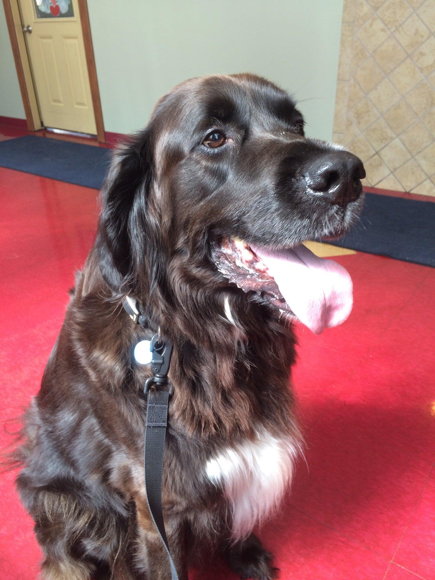 Konecny Michelle M Cleveland