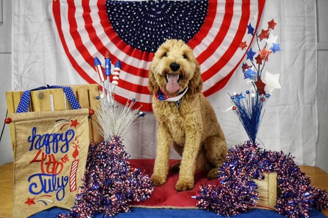 A PLACE FOR PAWS Columbiana