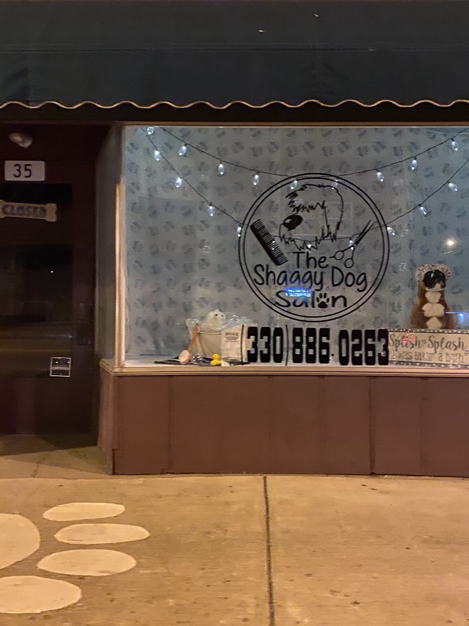 The Shaggy Dog Grooming Salon 35 N Market St, East Palestine Ohio 44413