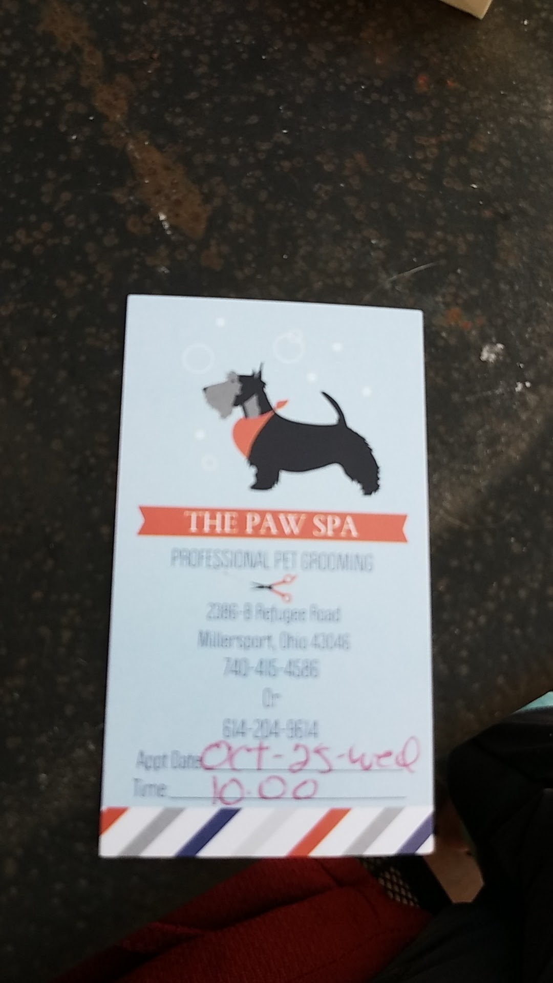 THE PAW SPA 2386-b Refugee St, Millersport Ohio 43046