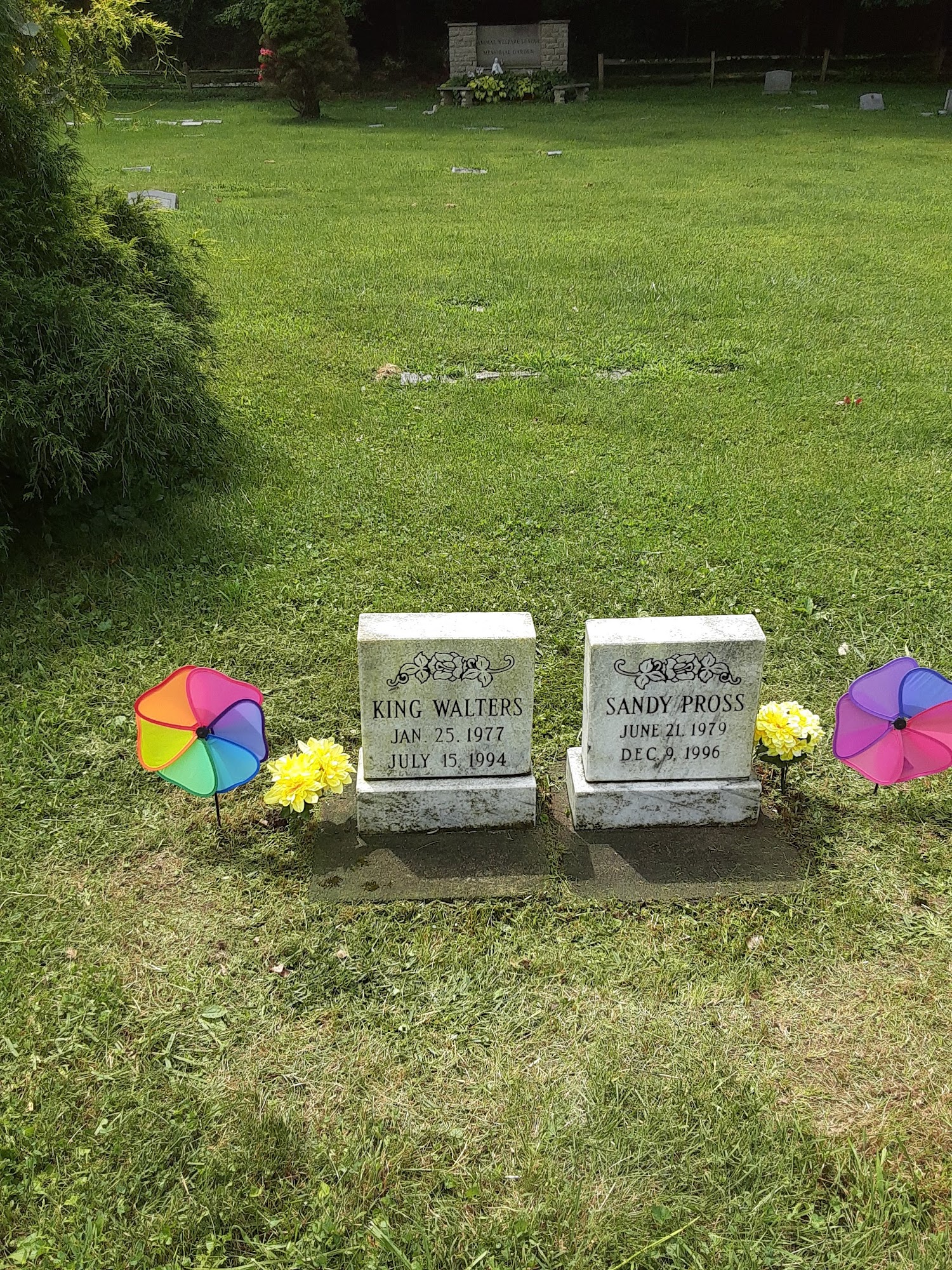 Animal Welfare League Springfield