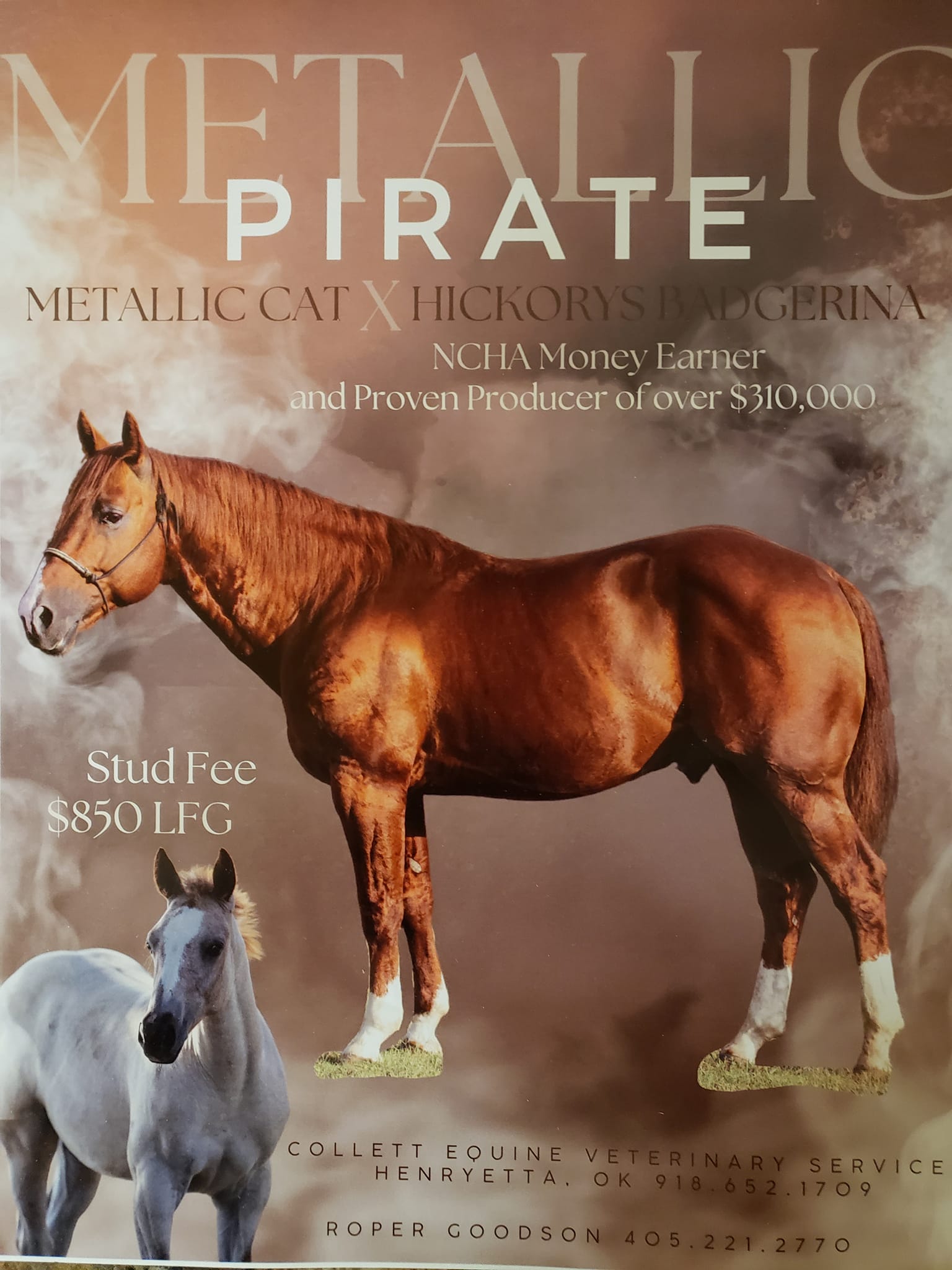 Collett Equine Veterinary Service Henryetta