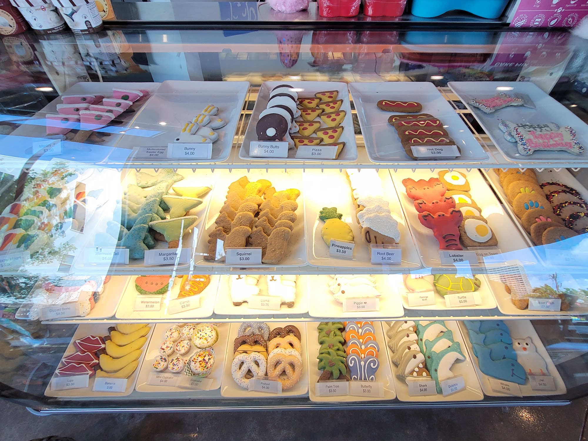 BONE Dog Boutique and Self Serv Dog Wash Oklahoma City