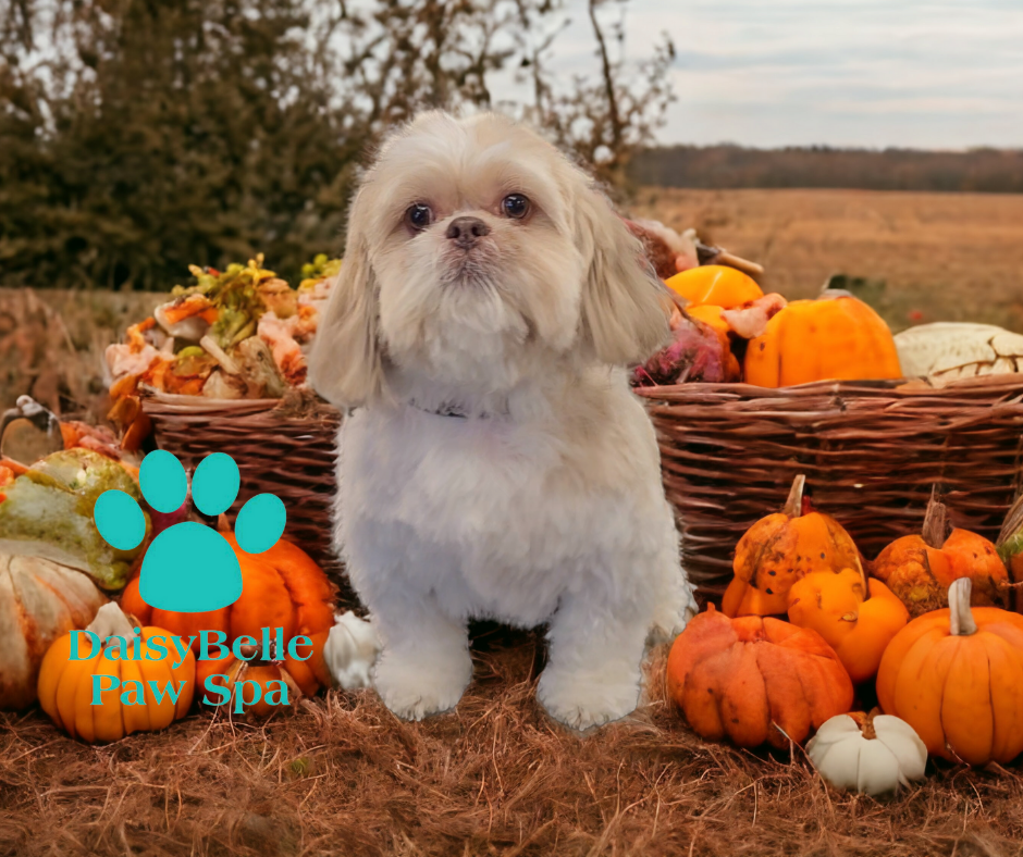 DaisyBelle Paw Spa Owasso