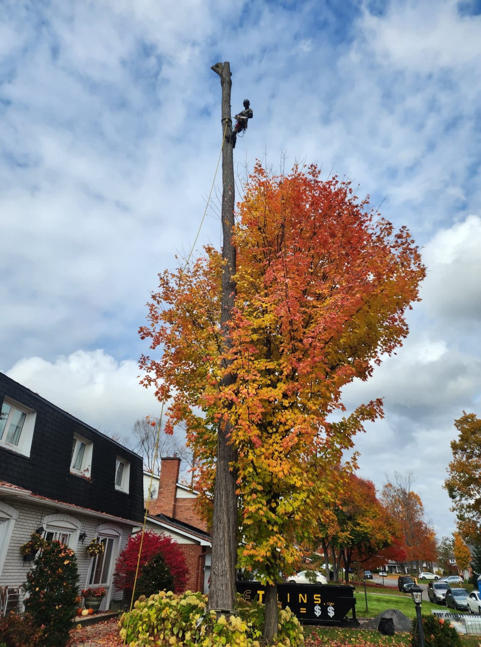 Photo credit: yellowpages.ca