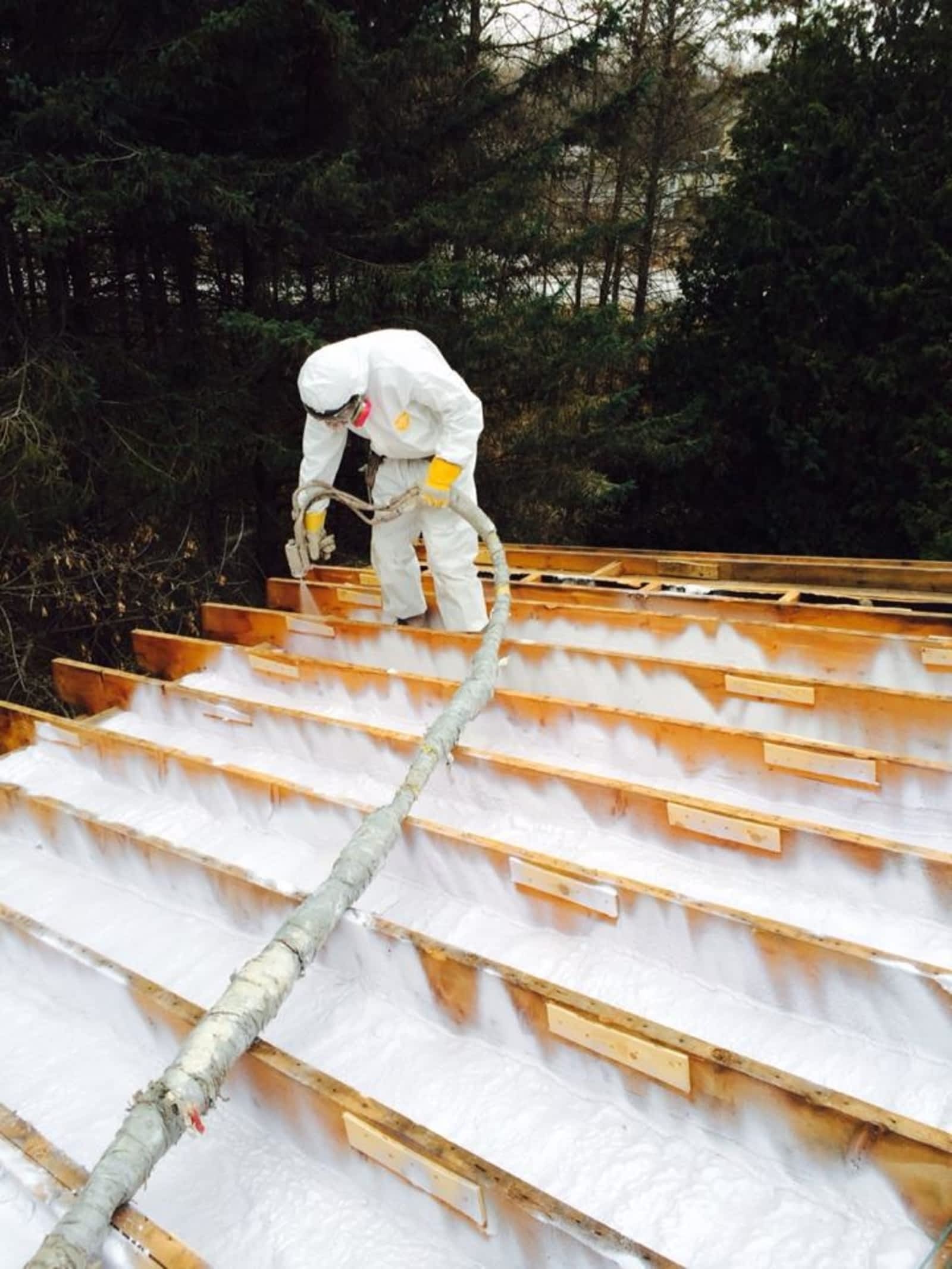 Photo credit: yellowpages.ca