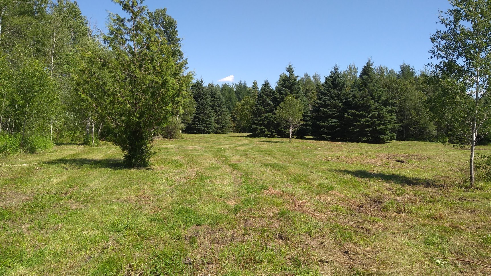 Turtle Crik Tree Farms Beaverton