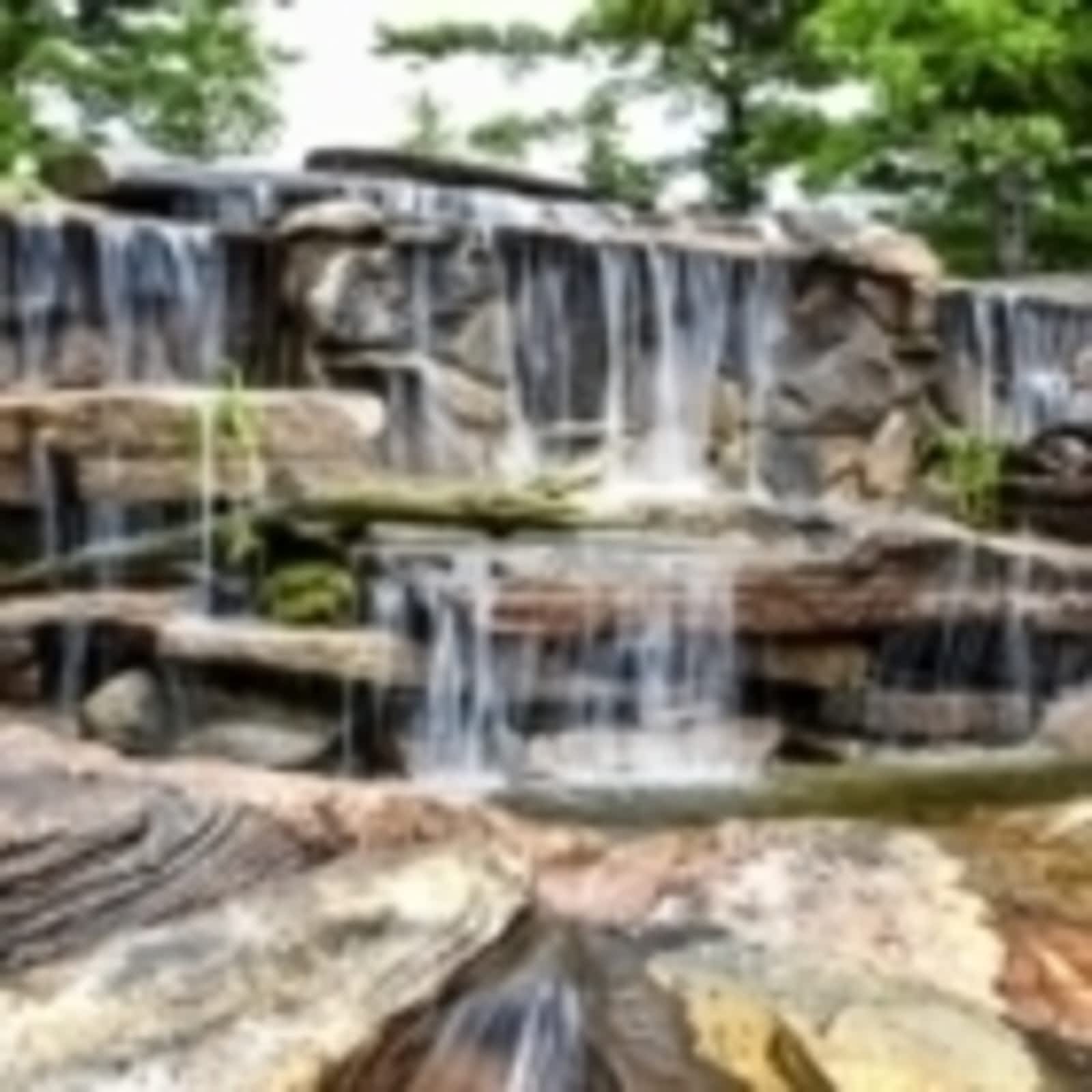 Photo credit: yellowpages.ca