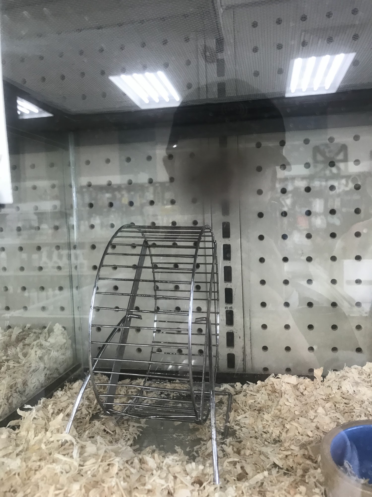 The Critter Shop Chatham