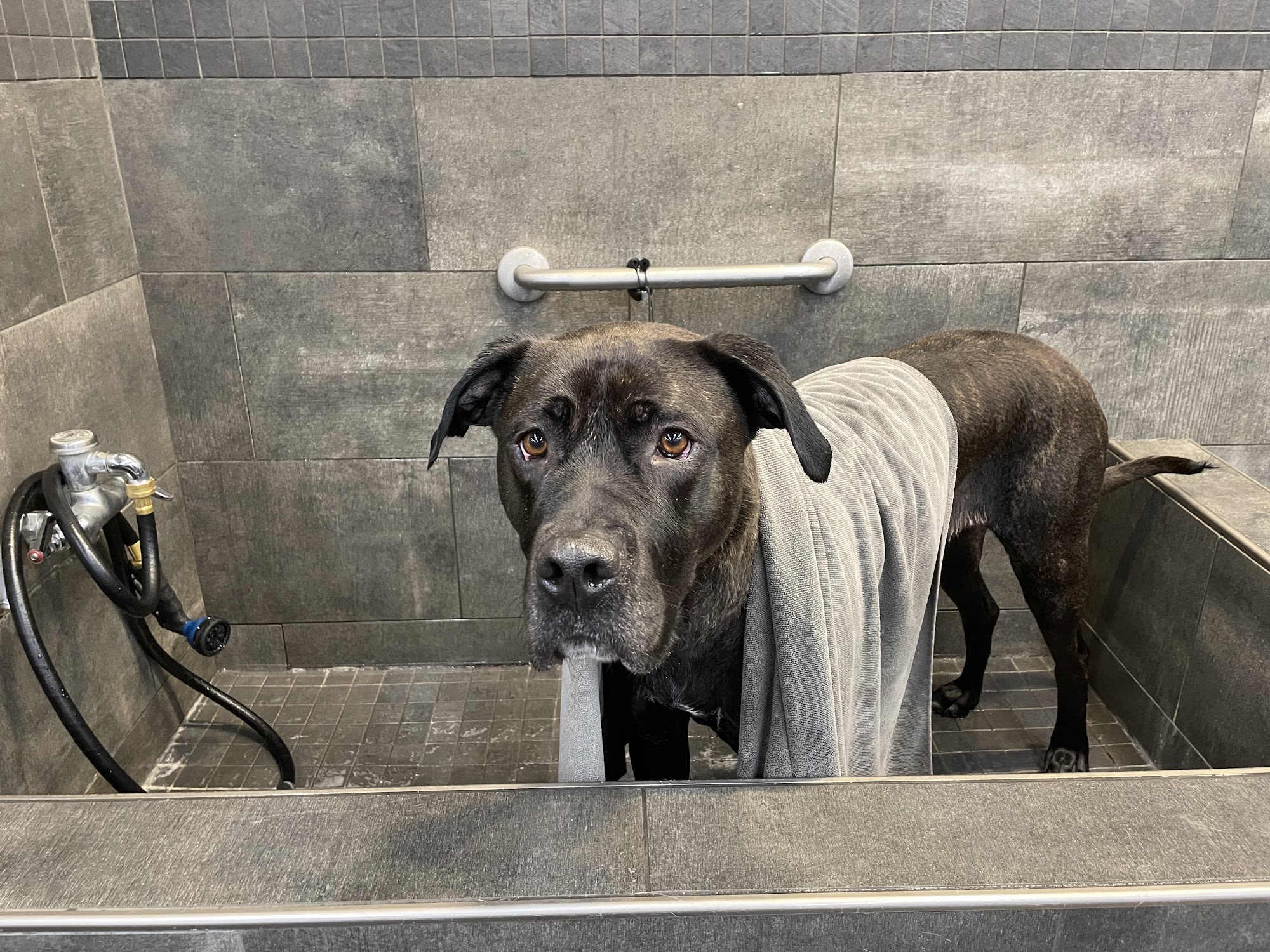 Paulmac's Pets Cobourg