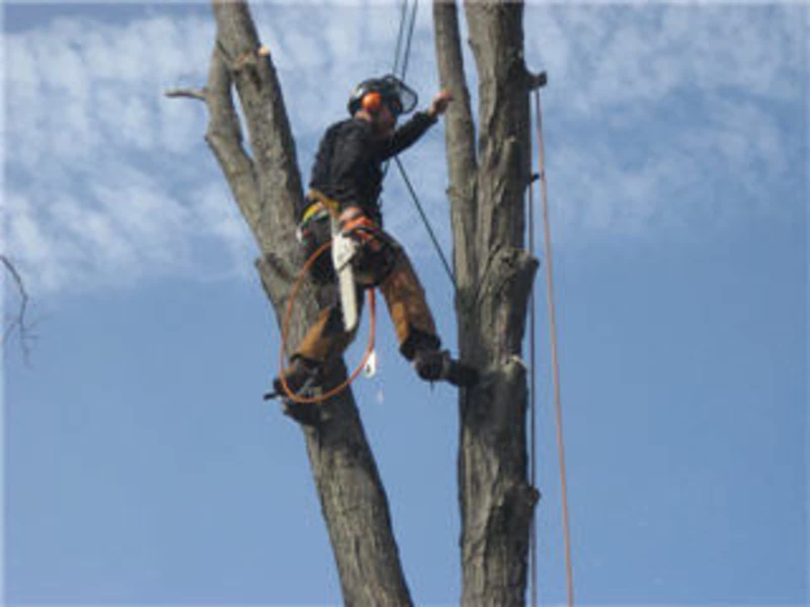 Photo credit: yellowpages.ca