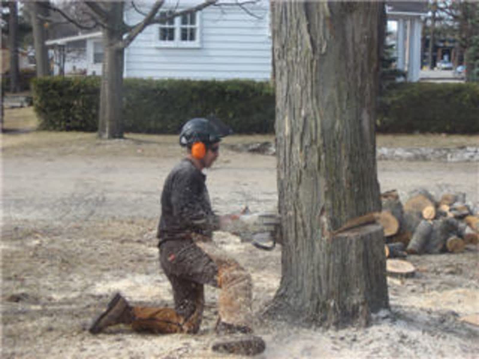 Photo credit: yellowpages.ca